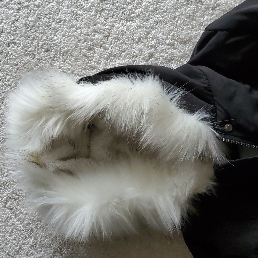 Jacket - Picture 6 of 7
